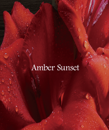 OPTATUM Eau de Perfume Amber Sunset｜オプタウム オードパフューム アンバーサンセット 50ml