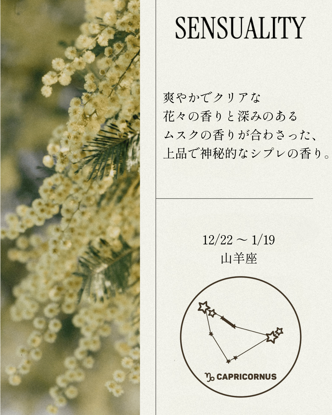 OPTATUM Dress Perfume No.8 SENSUALITY｜オプタウム ドレス