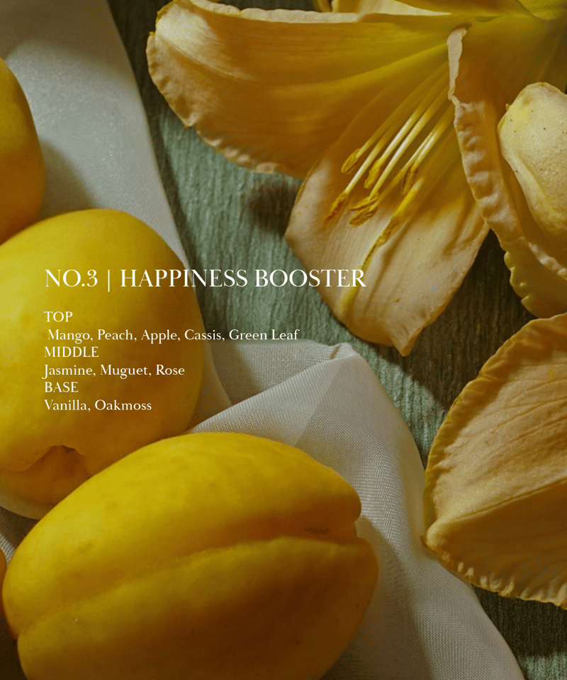 定期便】OPTATUM Diffuser Happiness Booster｜オプタウム デ