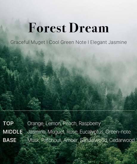 OPTATUM Paper Incnese Forest Dream｜オプタウム ペーパーインセンス フォレストドリーム 48回分
