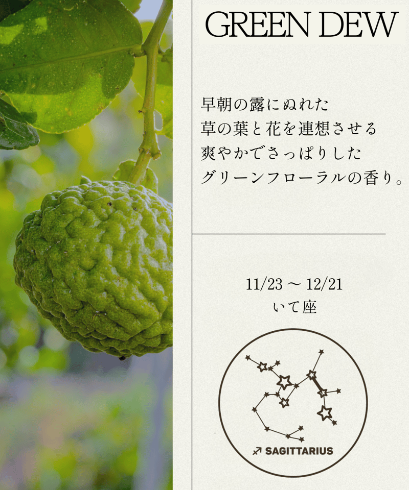 OPTATUM Perfume Hand Cream NO.6 Green Dew｜オプタウム
