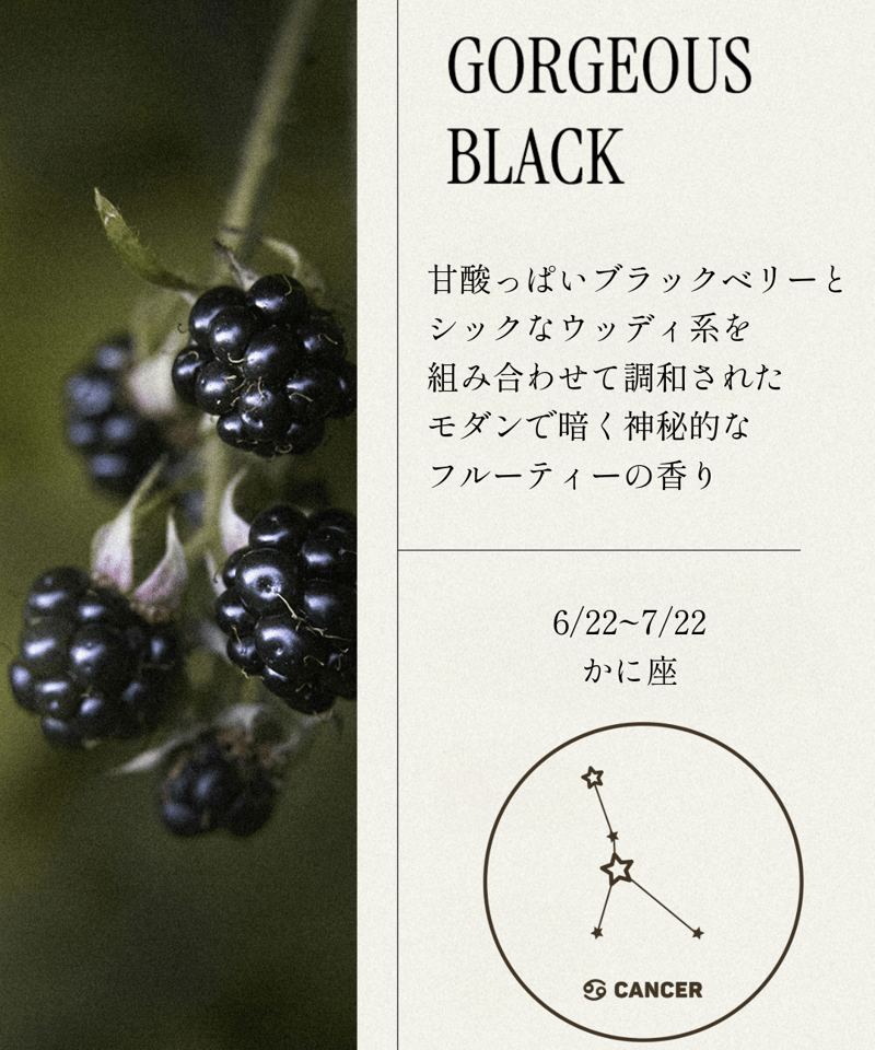 OPTATUM Dress Perfume No.5 GORGEOUS BLACK｜オプタウム