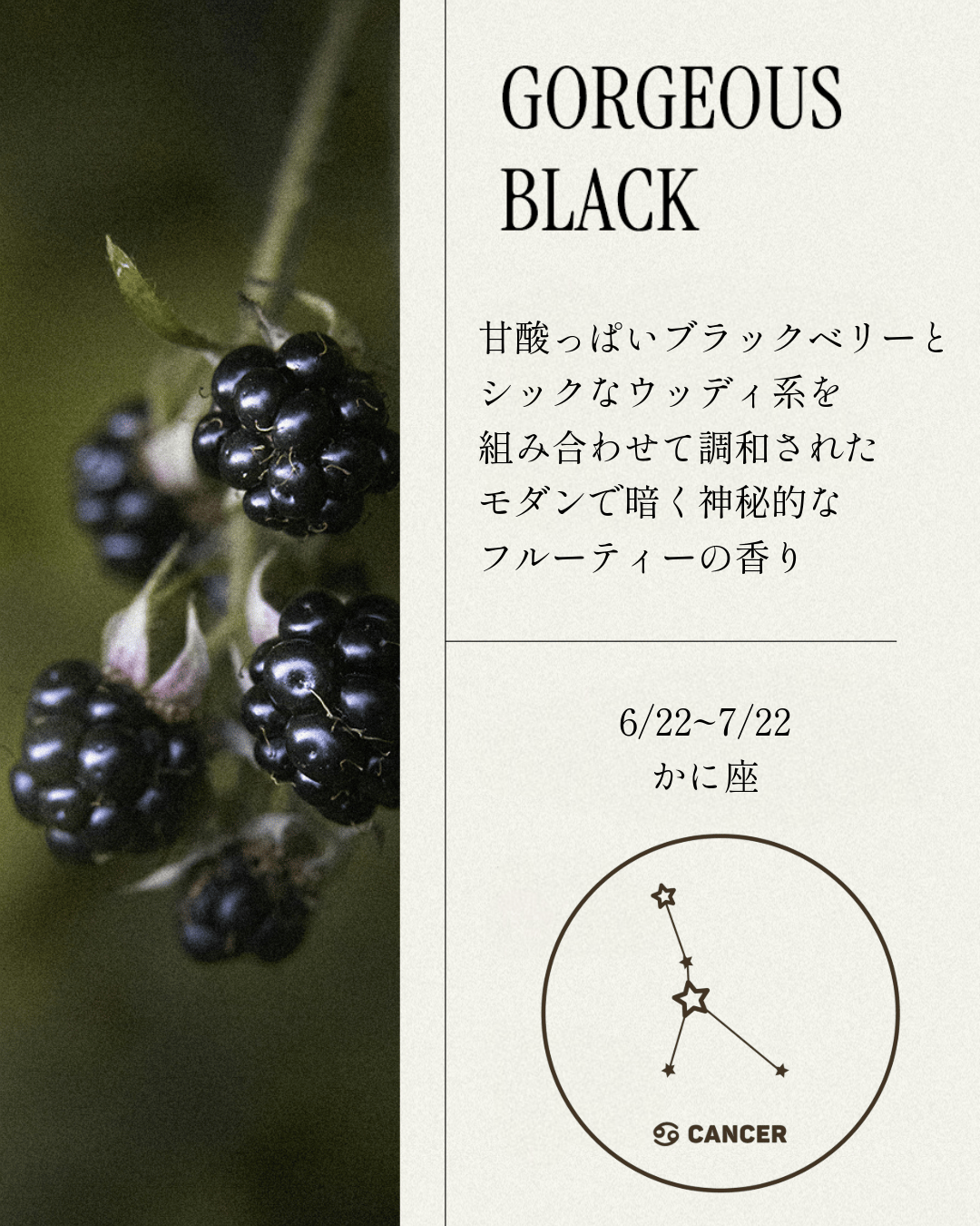 OPTATUM Dress Perfume No.5 GORGEOUS BLACK｜オプタウム