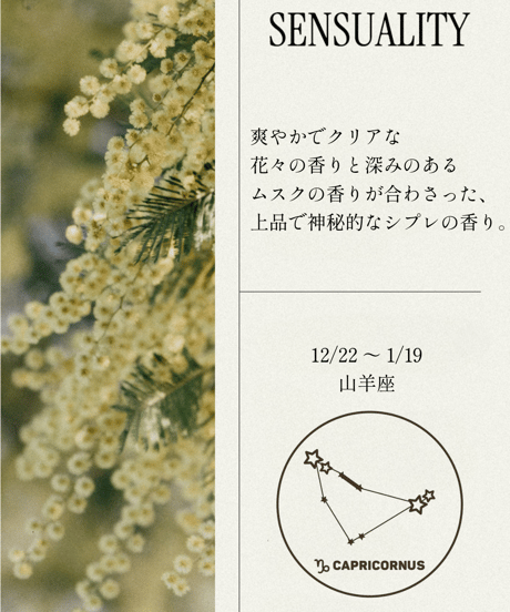 OPTATUM Perfume Hand Cream NO.8 Sensuality｜オプタウム ハンドクリーム NO.8センシュアリティ 50ml