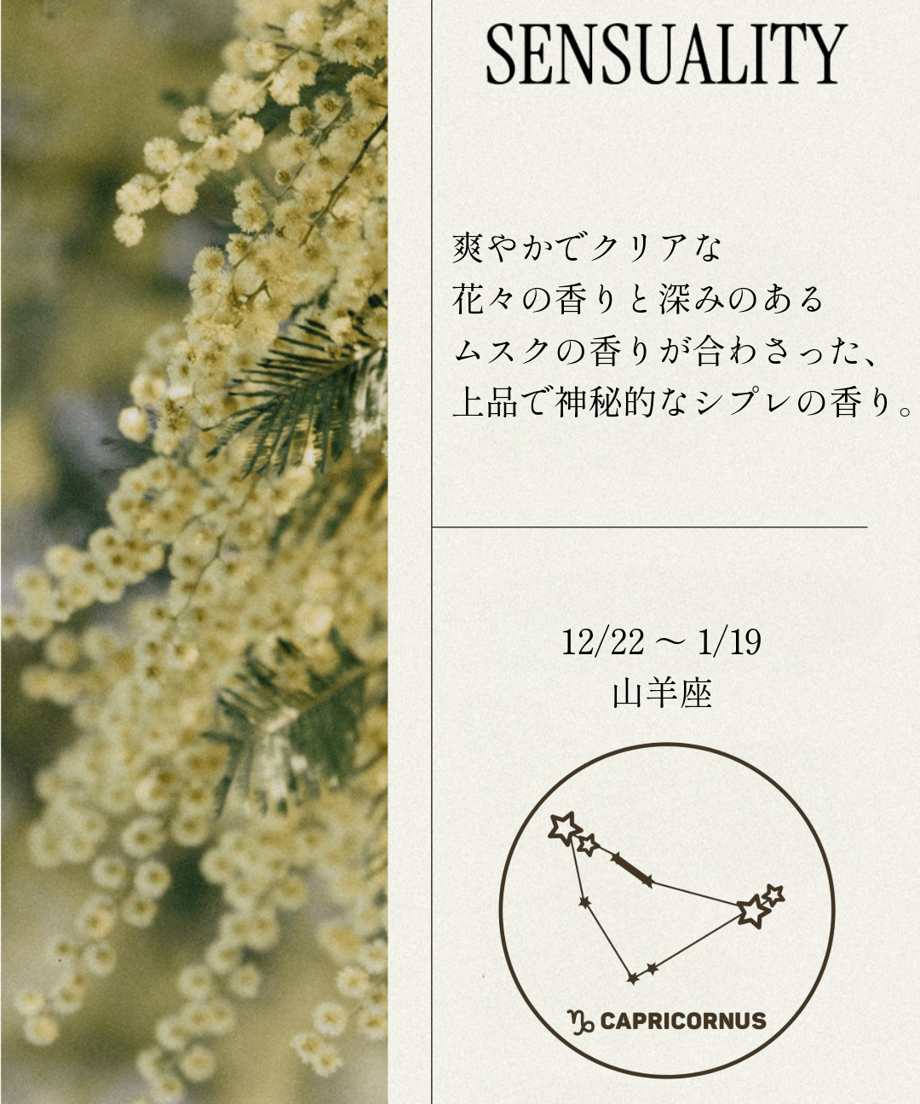 6853a86a463f6000010c2921