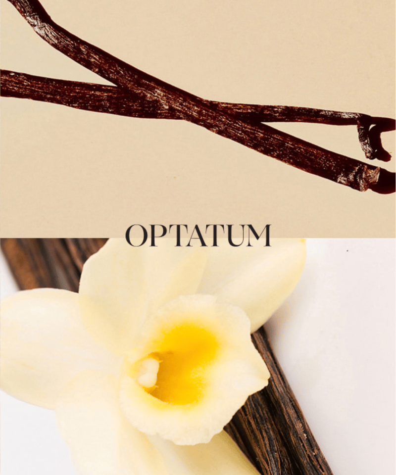 OPTATUM Paper Incnese Pet enjoy set｜オプタウム ペーパーイ