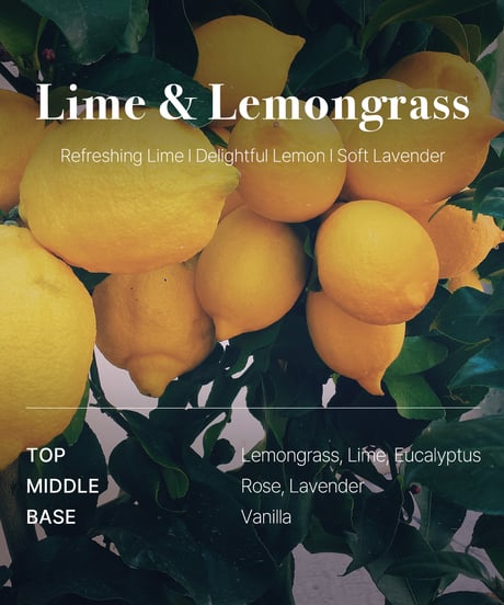 OPTATUM Paper Incnese Lime and Lemongrass｜オプタウム ペーパーインセンス ライム＆レモングラス 48回分