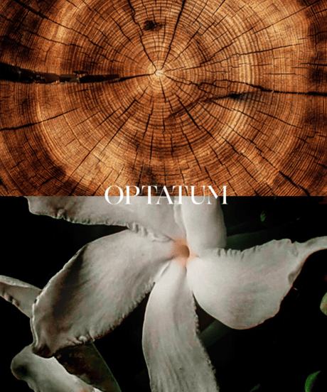 OPTATUM Paper Incnese Amber Brown｜オプタウム ペーパーインセンス アンバーブラウン 48回分