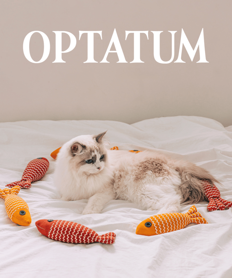 OPTATUM Paper Incnese Pet kitten dance set | オプ OPTATUM Paper Incnese Pet kitten dance set | オプ