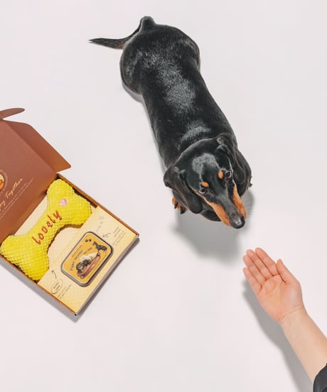 OPTATUM Paper Incnese Pet enjoy set｜オプタウム ペーパーインセンス ペットエンジョイセット 48回分