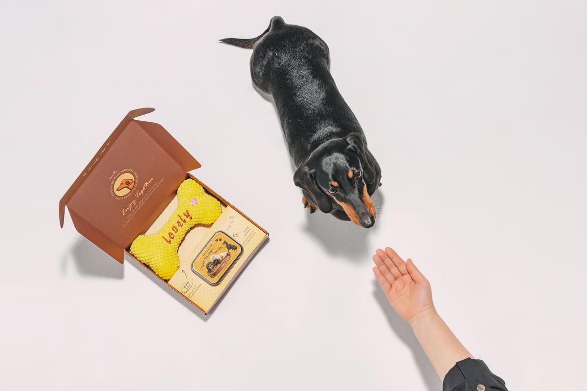 OPTATUM Paper Incnese Pet enjoy set｜オプタウム ペーパーイ