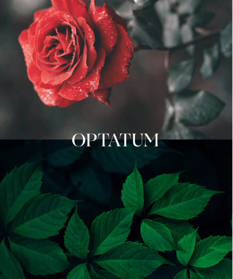 OPTATUM Paper Incnese Peaceful Serenade｜オプタウム ペ