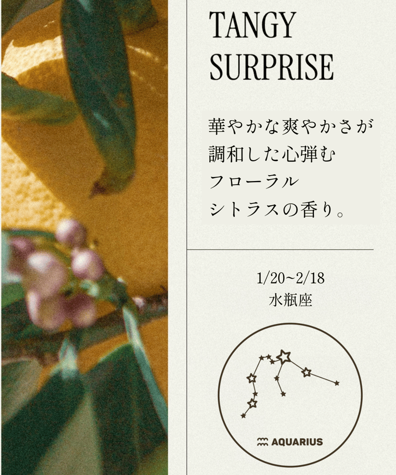 OPTATUM Perfume Hand Cream NO.1 Tangy Surprise