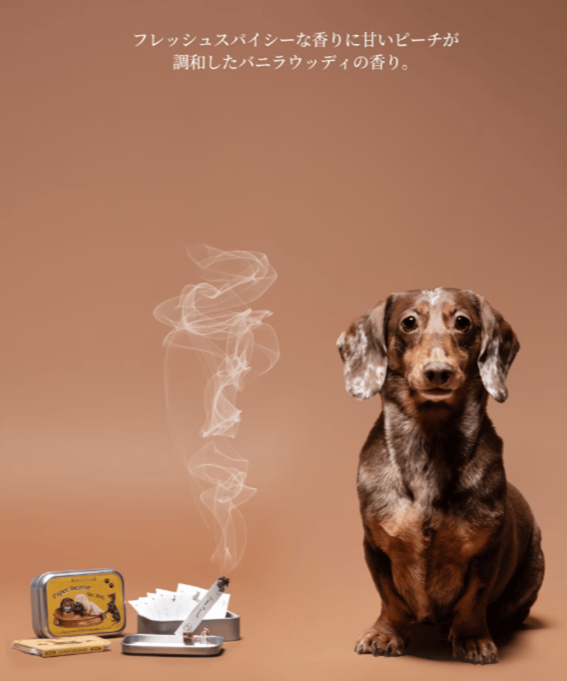 オッペンルーセンスUVベースミルキー 2本【新品未開封】 OPPEN