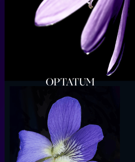 OPTATUM Paper Incnese Oriental Sweet｜オプタウム ペーパーインセンス オリエンタルスウィート 48回分