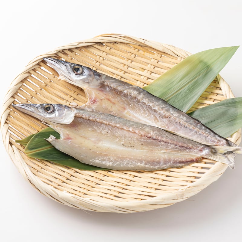 【】さかなの干物 WTZO