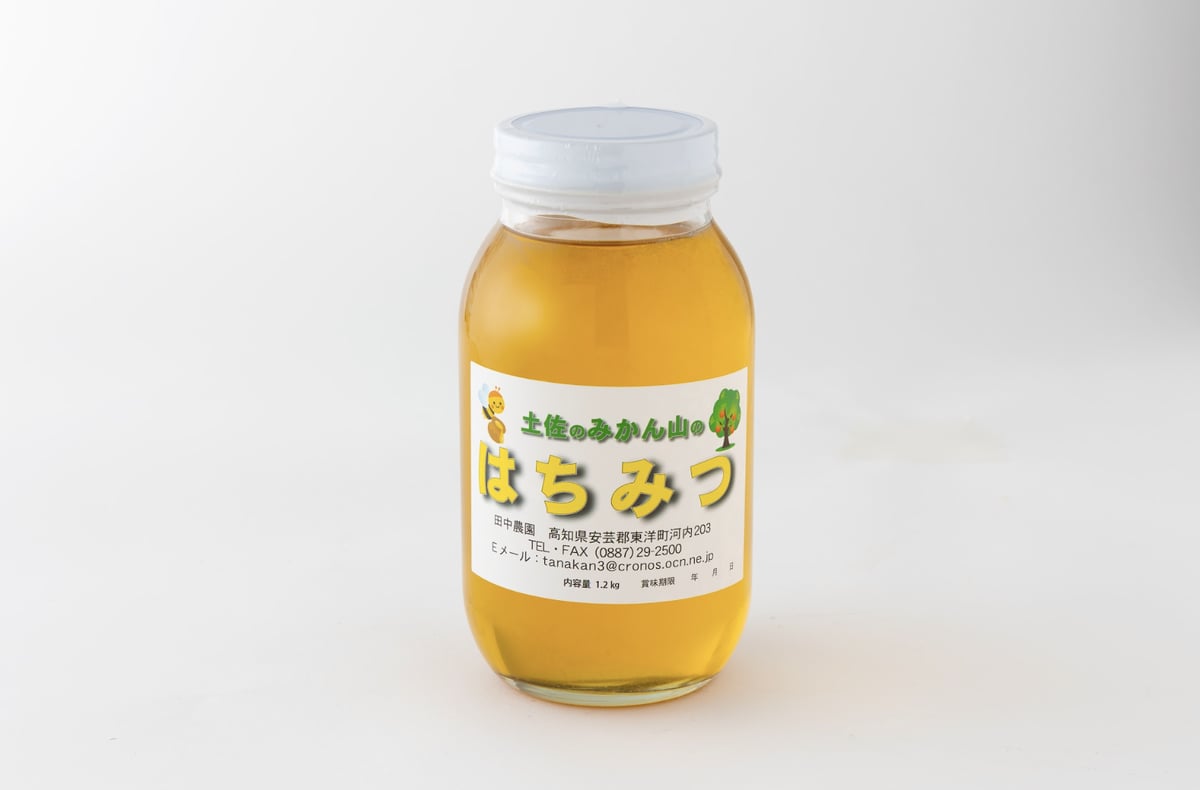 fit=scale-down,w=1200