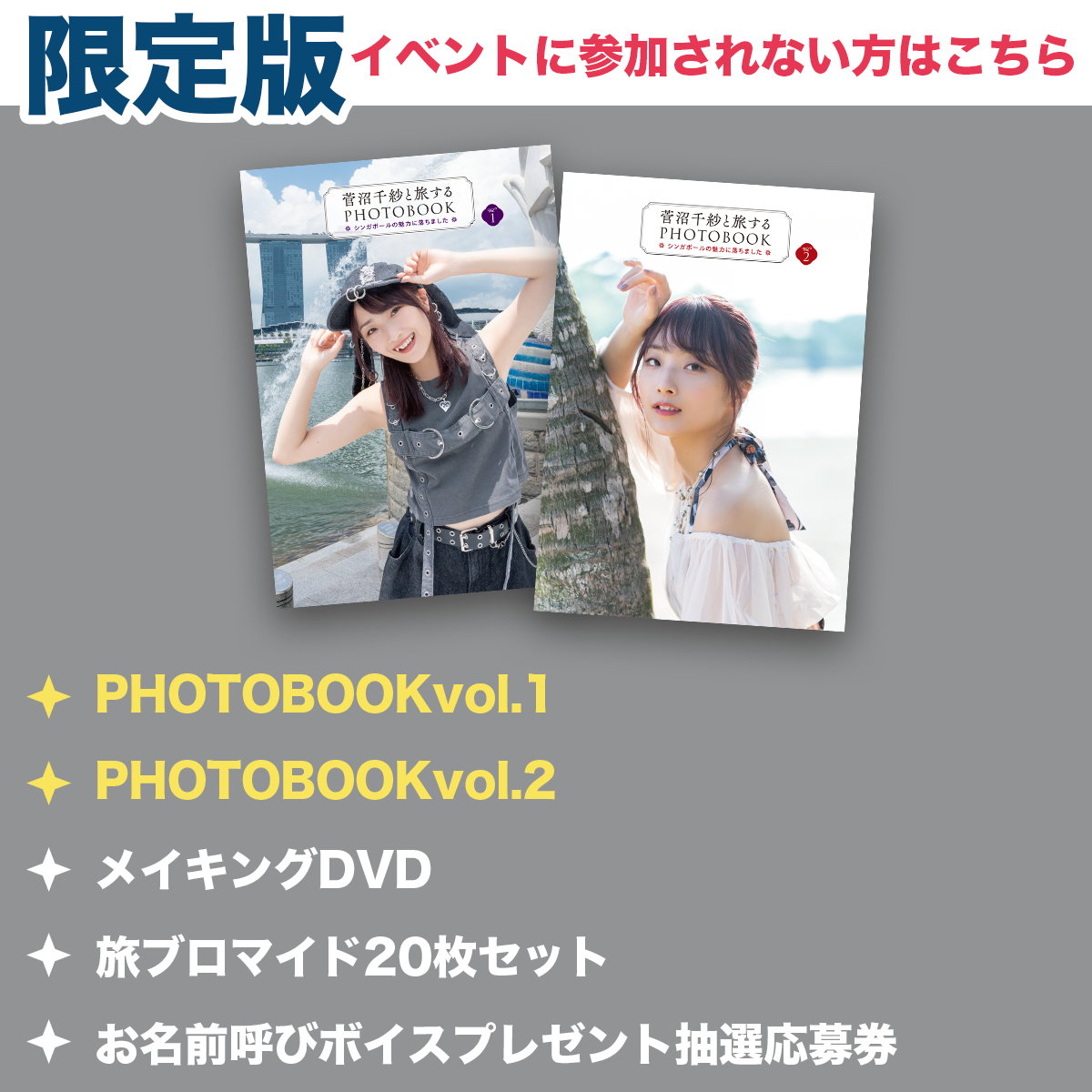 数量限定版】「菅沼千紗と旅するPHOTOBOOK〜シンガポールの魅力に落ち