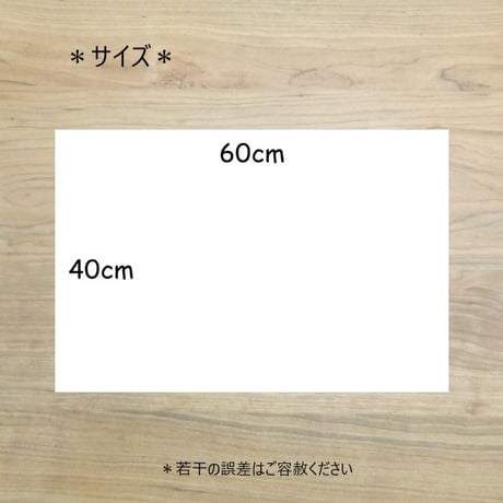 給食セット ナフキン 給食袋 ランチクロス セット 40×60 かわいい 大判 恐竜柄 ギンガムチェック 机サイズ
