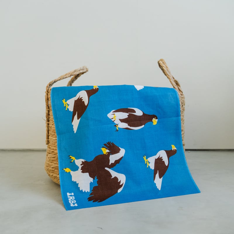 オオワシ日本手拭い | 猛禽類医学研究所オリジナル・グッズショップ