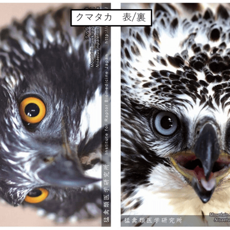 A4クリアファイル(全６種)