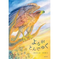 絵本『よるがとんでゆく』