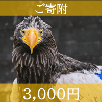 ご寄附　3,000円