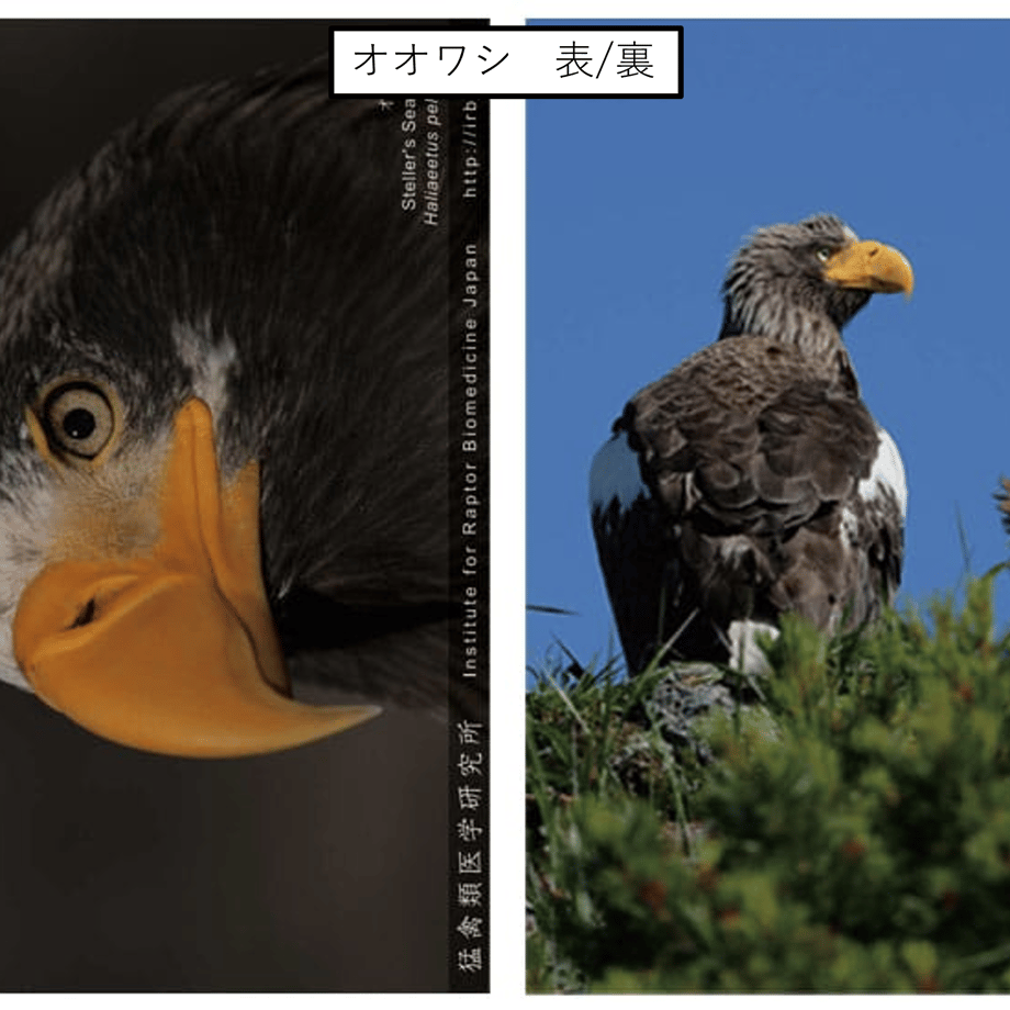 678f309e59de6b018a9f94d3