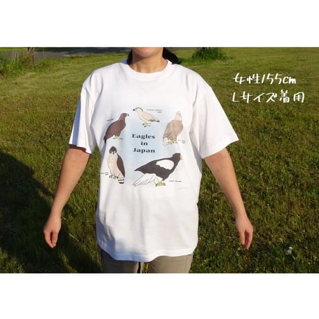 第6弾！IRBJオリジナルTシャツ-日本のワシ類‐