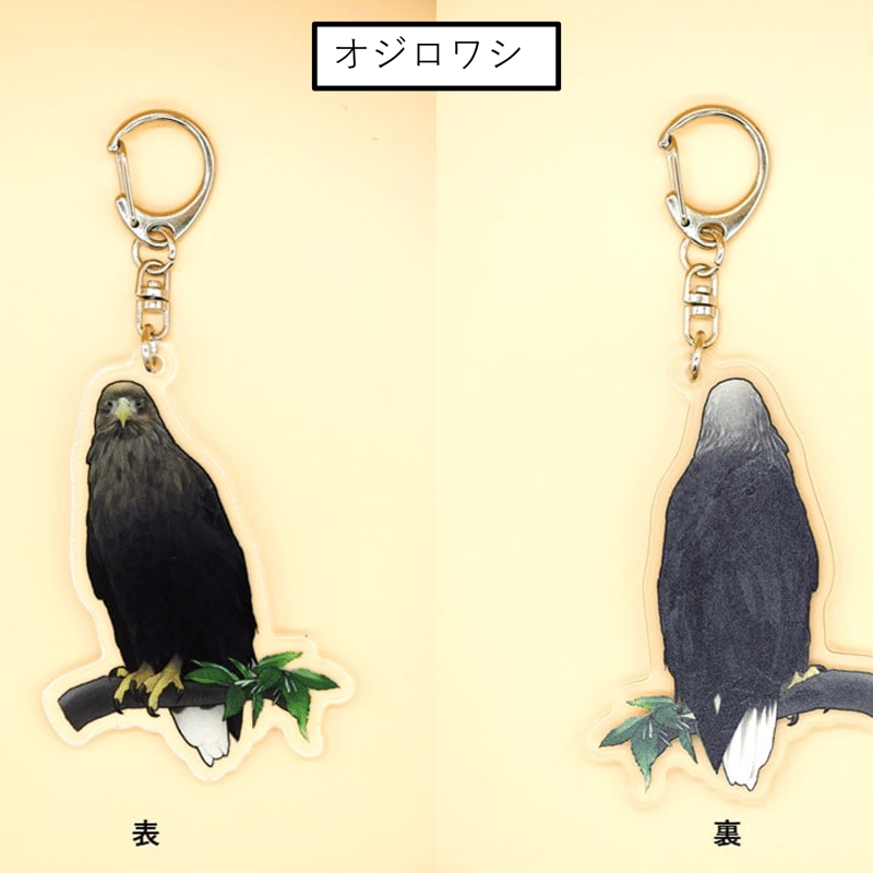 猛禽キーホルダー | 猛禽類医学研究所オリジナル・グッズショップ