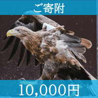 ご寄附　10,000円