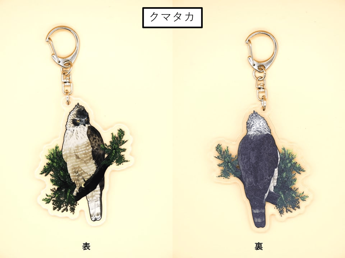 猛禽キーホルダー | 猛禽類医学研究所オリジナル・グッズショップ