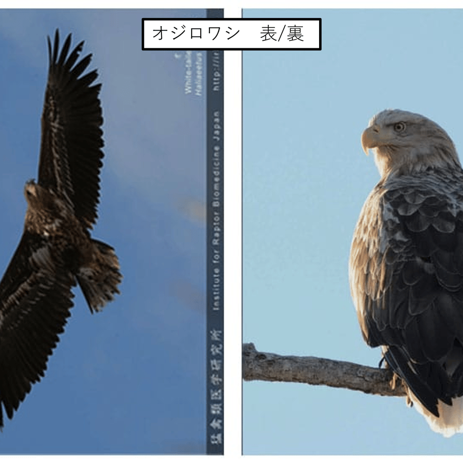 678f309e59de6b018a9f94d3
