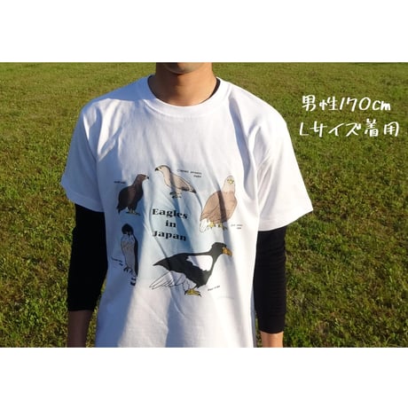 第6弾！IRBJオリジナルTシャツ-日本のワシ類‐
