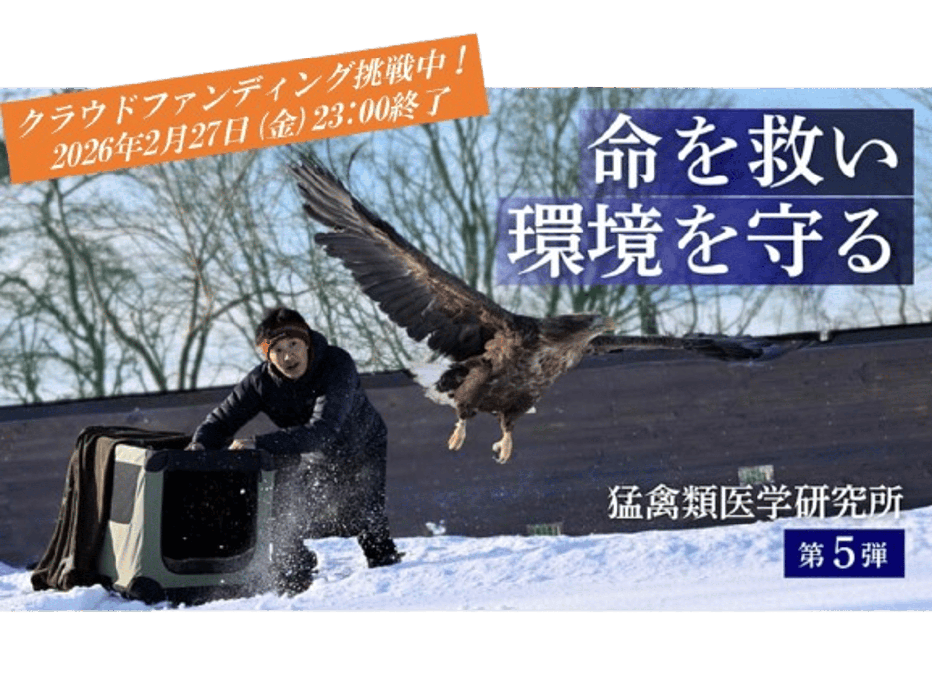 猛禽類医学研究所オリジナル・グッズショップ