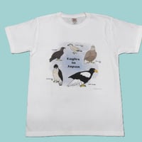 第6弾！IRBJオリジナルTシャツ-日本のワシ類‐