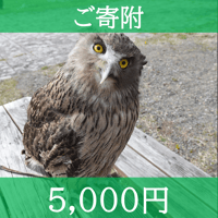 ご寄附　5,000円