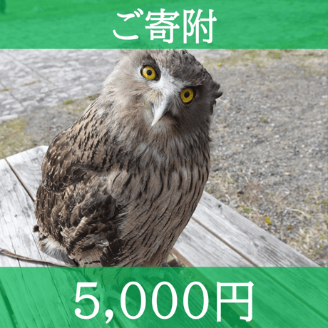 グッズ一覧 | 猛禽類医学研究所オリジナル・グッズショップ