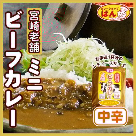 宮崎 老舗カレー専門店のミニビーフカレーパック 【中辛】
