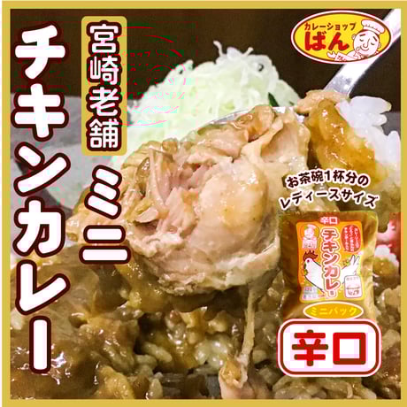 宮崎 老舗カレー専門店のミニチキンカレー【辛口】