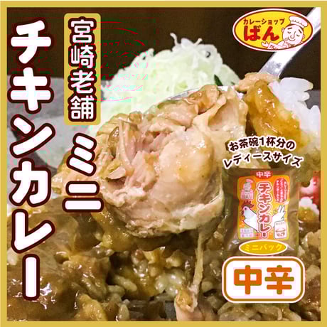 宮崎 老舗カレー専門店のミニチキンカレー【中辛】