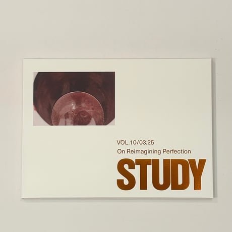 める太郎さま　専用です。SLIM AARONS 写真集 2冊セット CATEGORY 写真集／写真のこと | Book Store Pellonpää