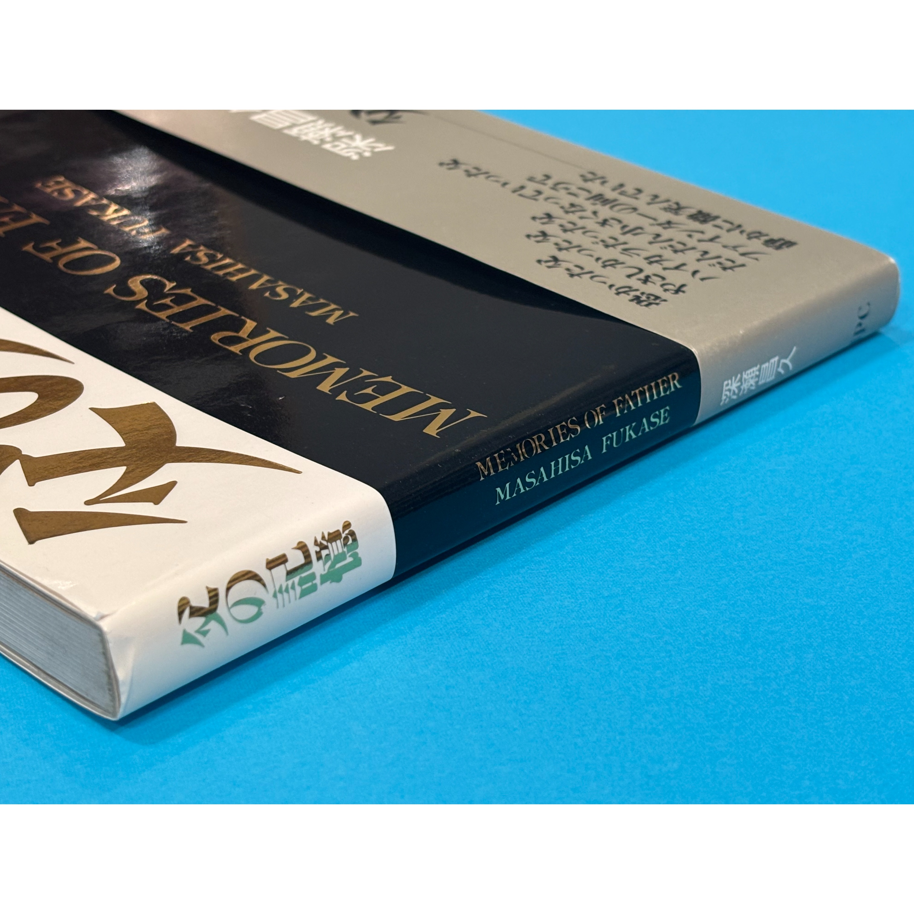父の記憶 深瀬昌久 | Book Store Pellonpää