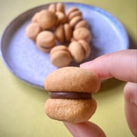 【焼き菓子】バーチ・ディ・ダーマ