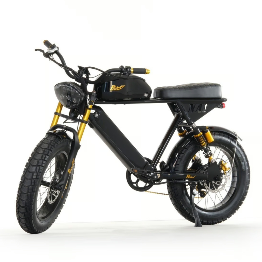 FLOW NA1 ハイスペック 電動アシスト 自転車 充電式 グロスブラック
