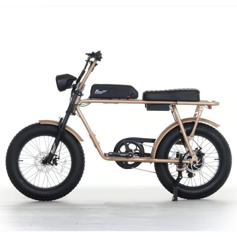 FLOW M2 電動アシスト 自転車 充電式 ゴールド | FAST LANE