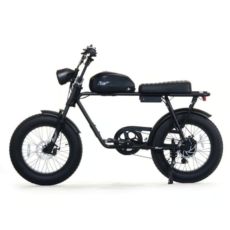 FLOW M2 電動アシスト 自転車 大容量バッテリータイプ 充電式 マット
