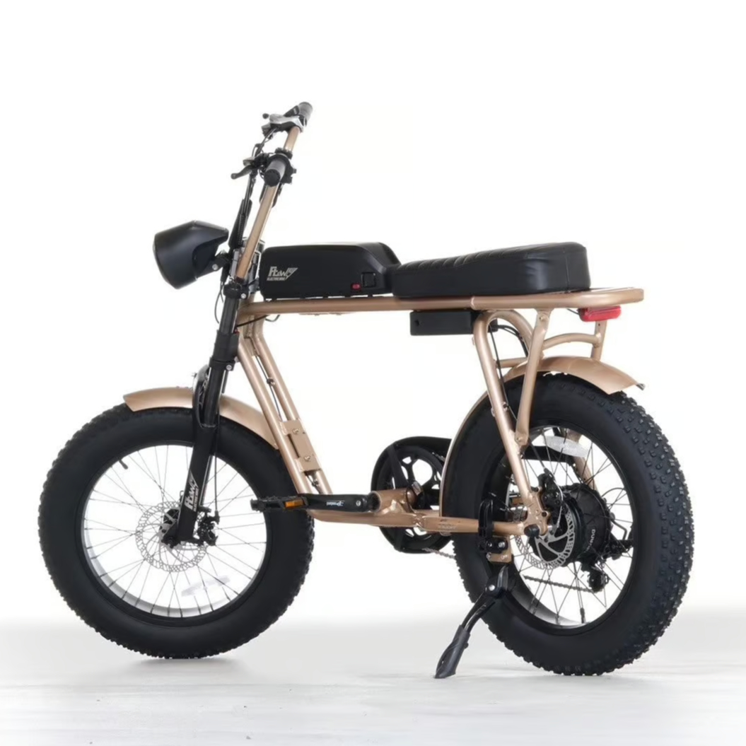 FLOW M2 電動アシスト 自転車 充電式 ゴールド | FAST LANE