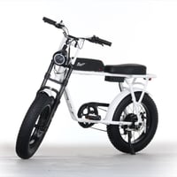 FLOW 電動自転車 ホワイト FLOW 電動自転車 ホワイト FLOW 電動自転車 ホワイト