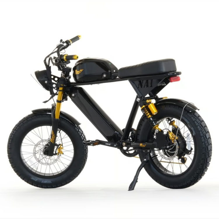 FLOW NA1 BIKE 電動アシスト自転車 ファットバイク【現物確認可能❗️】 FLOW NA1 ハイスペック 電動アシスト 自転車 充電式 グロスブラック